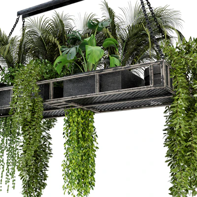 Indoor Hanging Plants in Metal Box - Set 71 — Вид 5