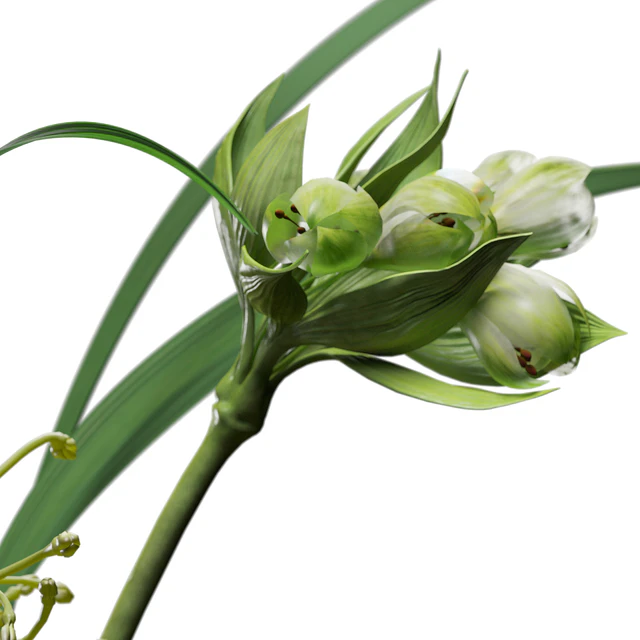 Decor set 047 with green plants AALTO VASE — Скачать