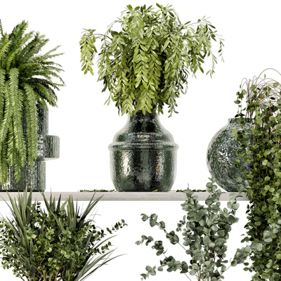 Collection Indoor Plants in Glass Pots - Set 695 — Ver 7