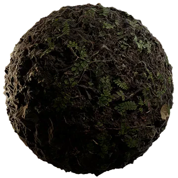 wild grass and ferns 002 — Скачать