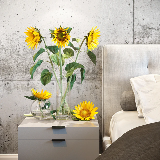 Sunflower2 — Скачать