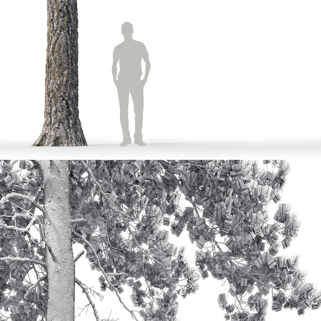 Pine — Скачать