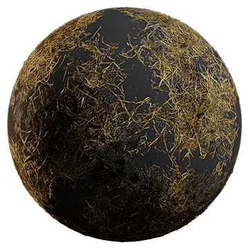 burnt grass 001 — Descargar