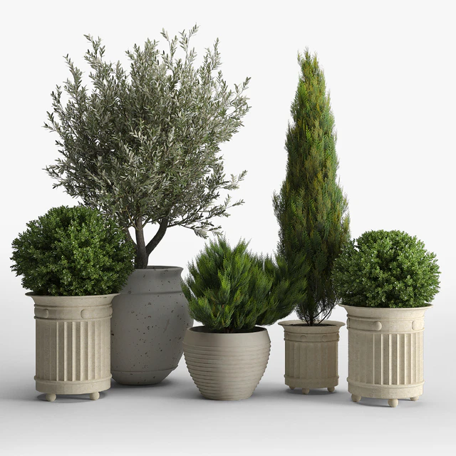 prescott planter set — Скачать