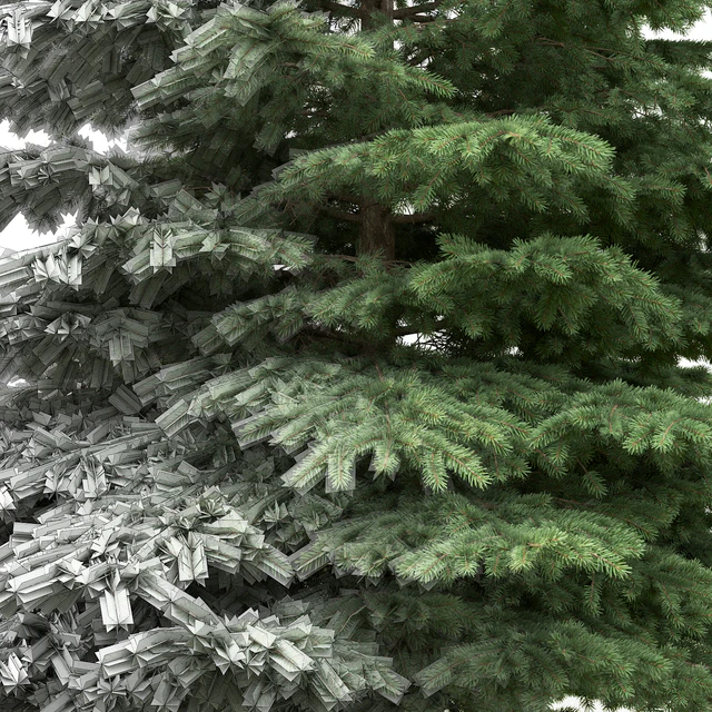 Spruce — Скачать