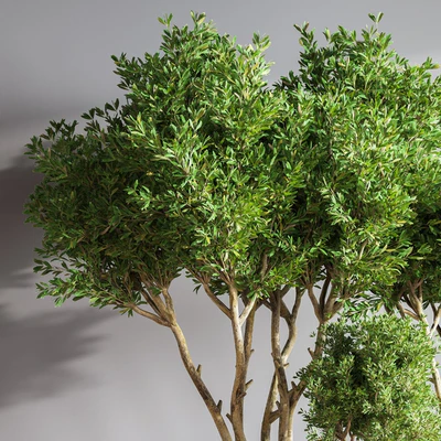Indoor Plant Set 50 — Ver 6