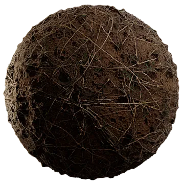 dried scarce grass 007 — Descargar
