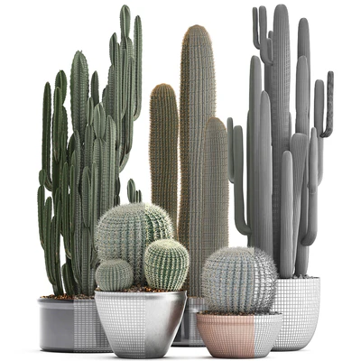 Collection of plants 300. Cactus set. Echinocactus, round cactus, cereus, Barrel cactus, indoor cactus, desert plants — Ver 3