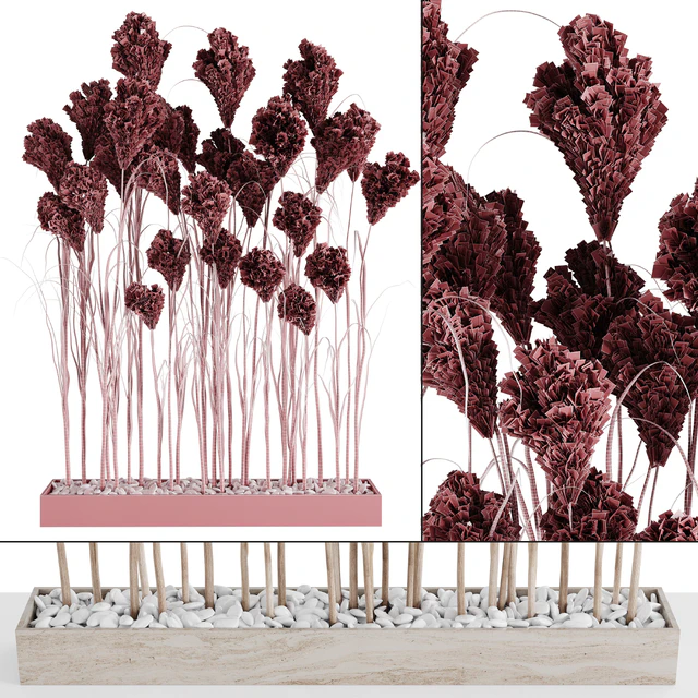 A bunch of Pampas 7 — Descargar