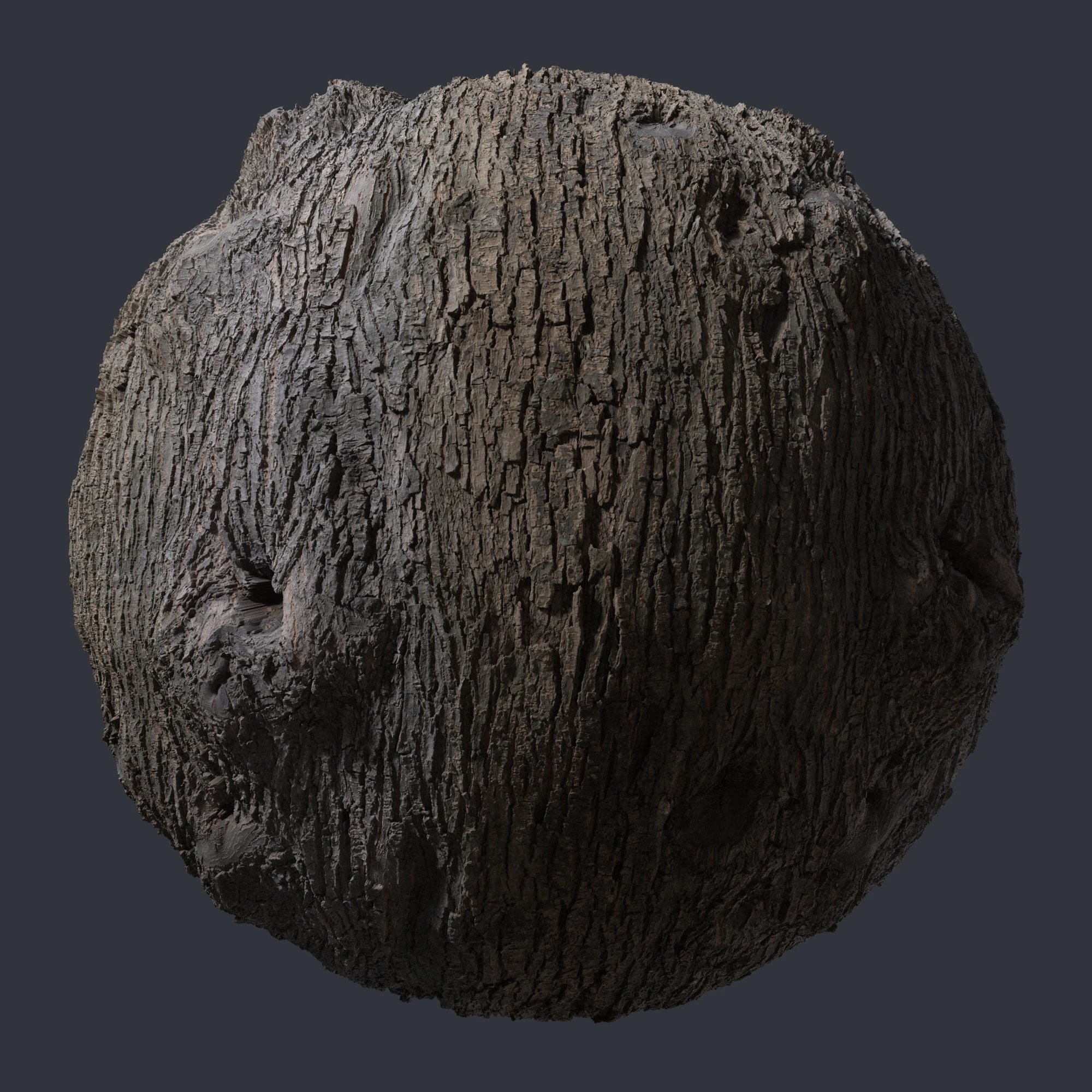 oak bark 009 — Скачать