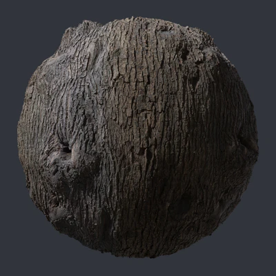 oak bark 009 — скачать