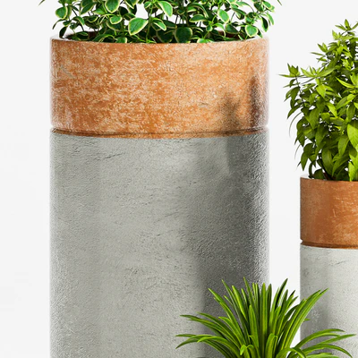 PLANT -35 — Ver 3