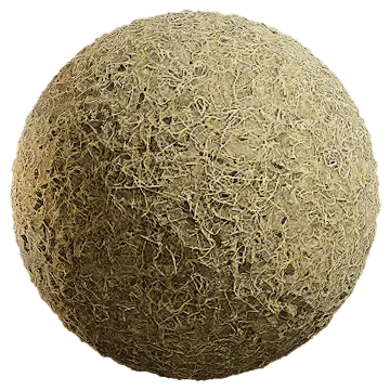 grass dried 055 — Descargar