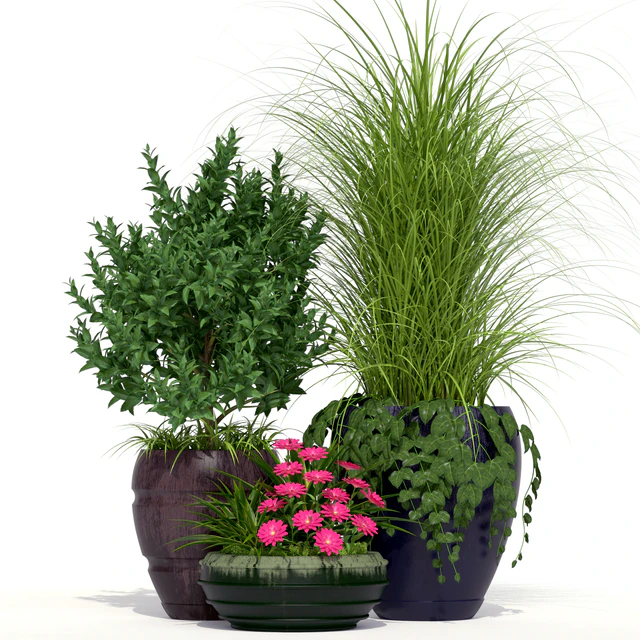 Outdoor Planters — Скачать