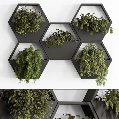 indoor Plant 536 - Hanging Plants — Ver 5