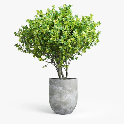 concrete set — Вид 4