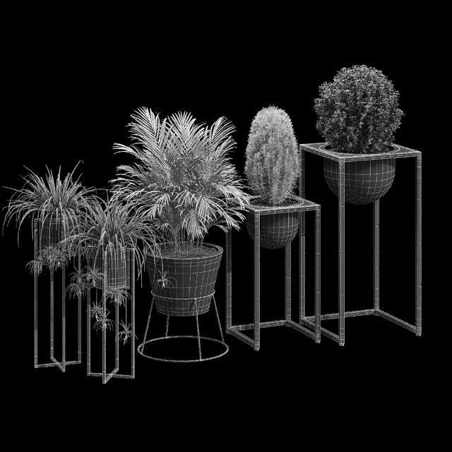Scout philo — Descargar