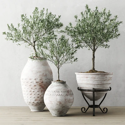 Olive European In Antique Vessels — Ver 1