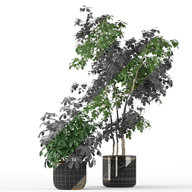 Plants collection 204 — Descargar