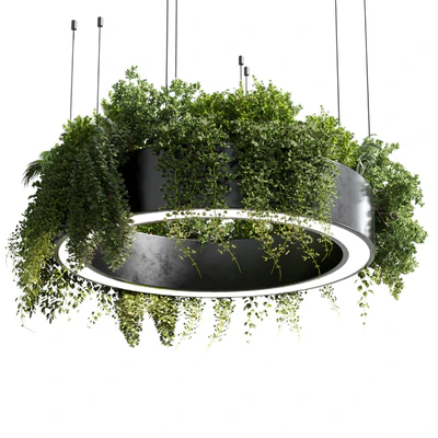 pot light pendant - plant light hanging 05 — Вид 1