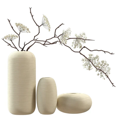 Bouquet of flowering branches in ceramic vases — Ver 4