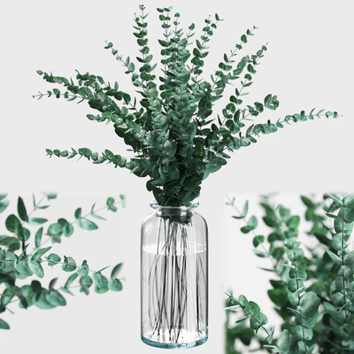 Bouquet of eucalyptus branches — Ver 1