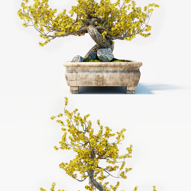 Bonsai — Descargar