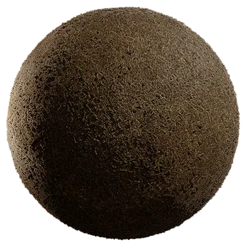 dried grass 004 — Скачать