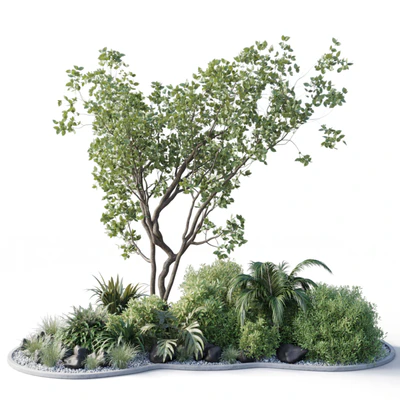 garden pot tree bush - Collection outdoor indoor 113 — скачать
