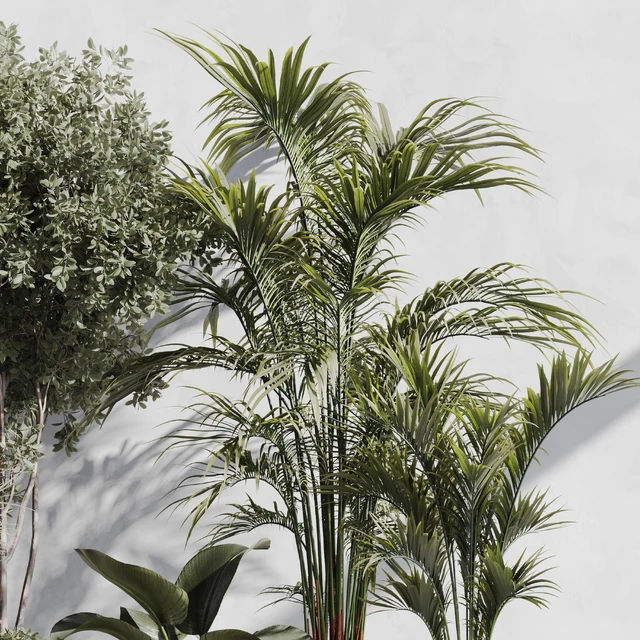 Indoor Plant Set 89 — Скачать