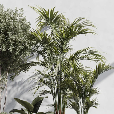 Indoor Plant Set 89 — Вид 6