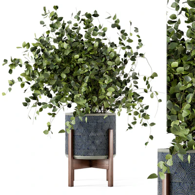 Indoor Plants in rusty Concrete Pot - Set 244 — Ver 1