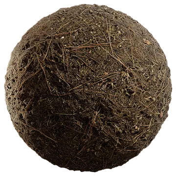 grass and pine 001 — Скачать