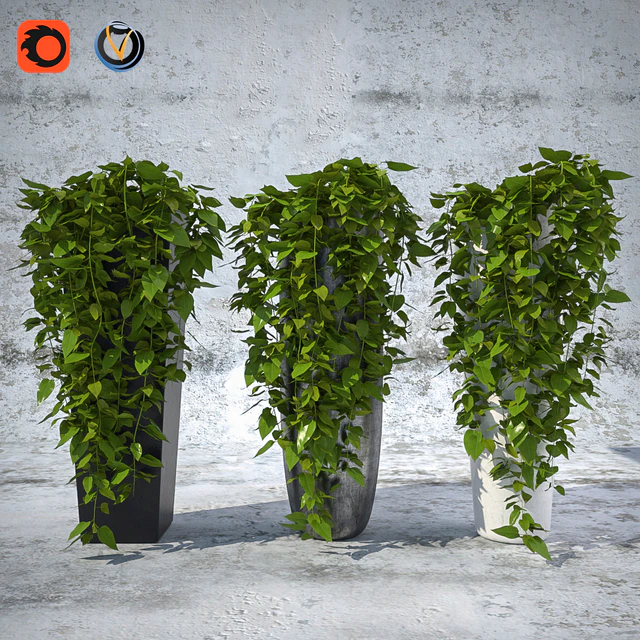 Plants 1 — Descargar