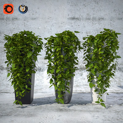 Plants 1 — Descargar