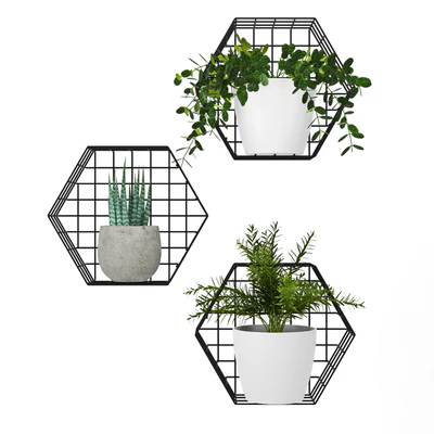 Plants on the wall — Вид 1