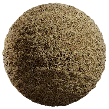 grass dried 021 — Descargar