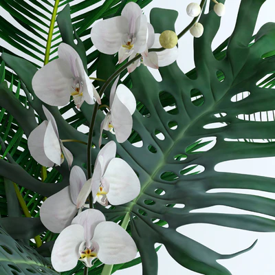 Exotic bouquet — Вид 3