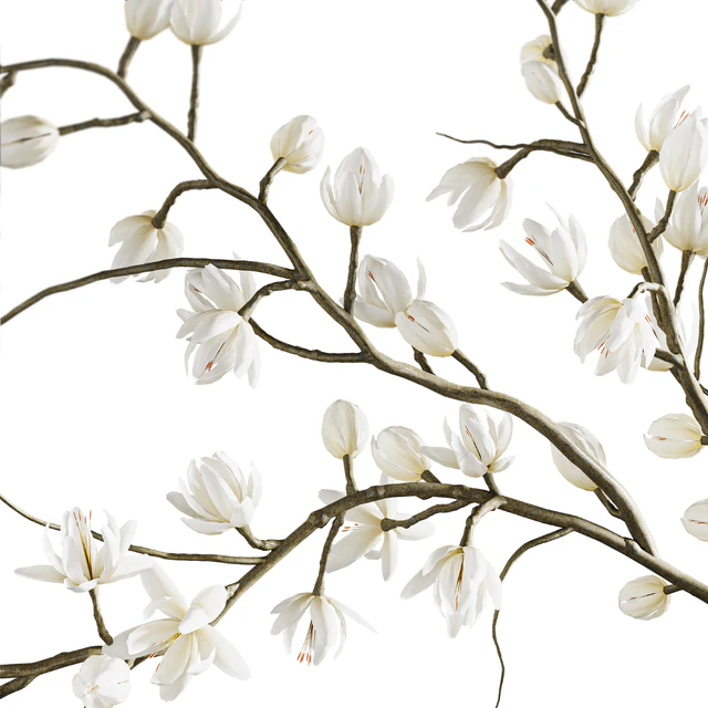 Plants collection set 9 — Descargar