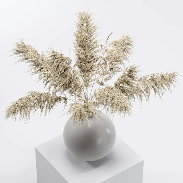 Vase with dried flowers 0001 — Descargar