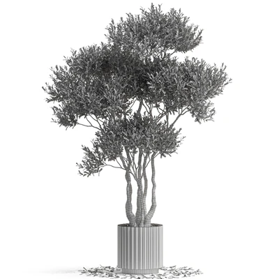 Plants collection 723 — Вид 5