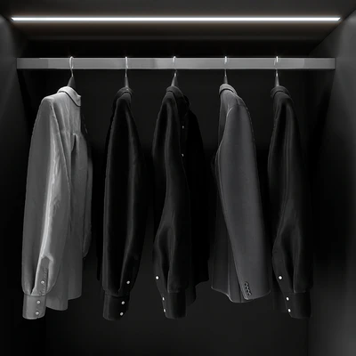 Modern Glass Door Wardrobe — Ver 5