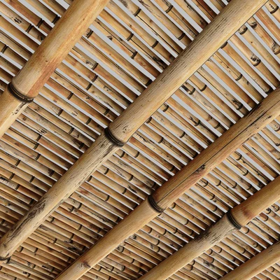 Ceiling bamboo crooked branch low n8 — Ver 7
