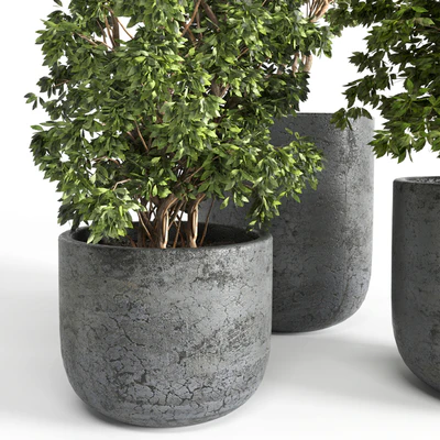Outdoor plant 06 — Ver 3