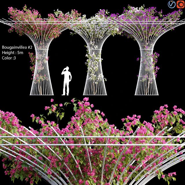 Bougainvillea / vines # 1 — Descargar