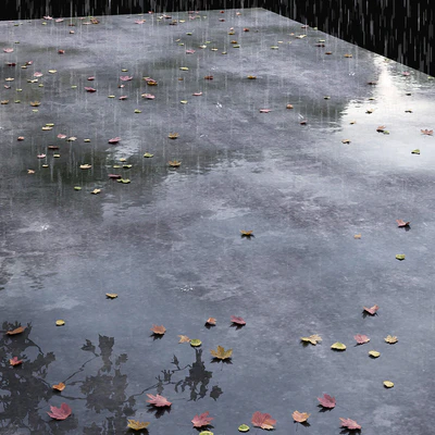 Autumn road with leaves and puddles — Ver 5