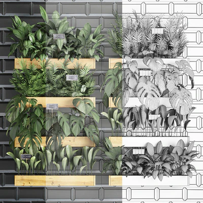 Vertical gardening. 40. Shelf with flowers, monstera, areca, palm tree, indoor plants, black tiles, phytowall, phytomodule, eco design, vertical garden — Ver 3