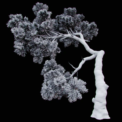 Curved Pine — Ver 3