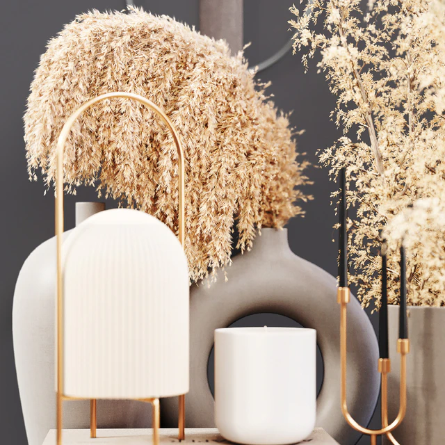 Dry decorativ set — Descargar