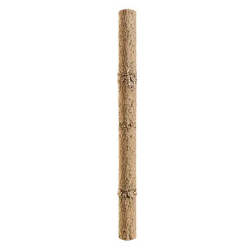 spruce branch bark 012 — Скачать
